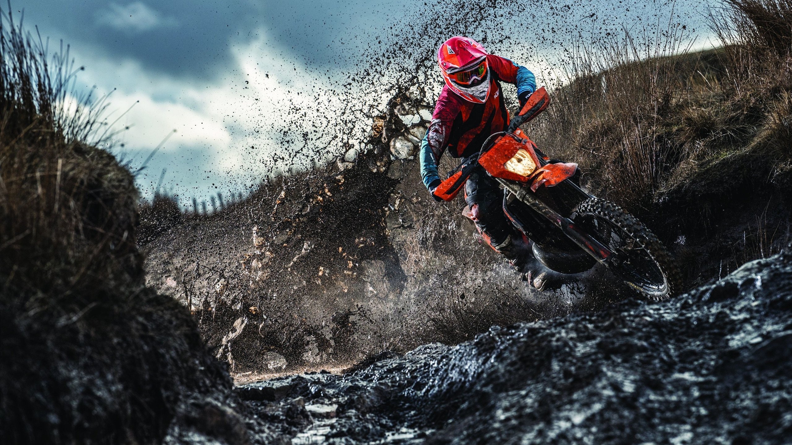 排球赛场焦点！法国队对阵比利时队，冠军之争悬念重重，胜负难料